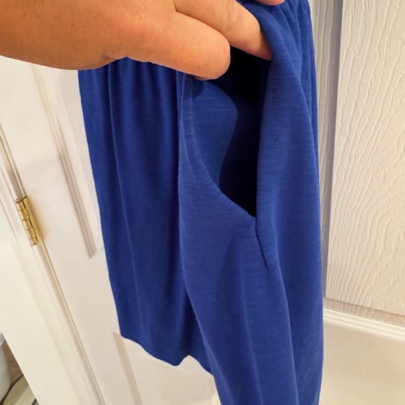 J. Crew Blue Sleeveless Dress - Picture 6 of 6